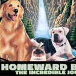 Homeward Bound: the Incredible Journey